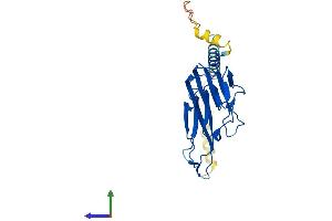 AlphaFold protein structure predicition of Human Recombinant TNF Protein, UniprotID P01375