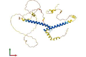 AlphaFold protein structure predicition of Mouse Recombinant Bhlhe22 Protein, UniprotID Q8C6A8