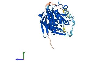 AlphaFold protein structure predicition of Mouse Recombinant Mettl21c Protein, UniprotID Q8BLU2