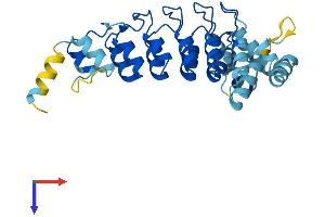 AlphaFold protein structure predicition of Human Recombinant ASB8 Protein, UniprotID Q9H765