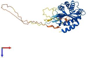 AlphaFold protein structure predicition of Mouse Recombinant Bccip Protein, UniprotID Q9CWI3