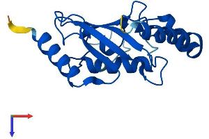 AlphaFold protein structure predicition of Human Recombinant UBE2G1 Protein, UniprotID P62253