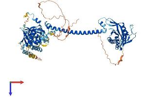 AlphaFold protein structure predicition of Human Recombinant GUCY1A2 Protein, UniprotID P33402