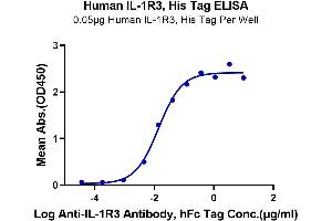 Immobilized Human IL-1R3 at 0.