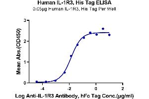 Immobilized Human IL-1R3 at 0. (IL1RAP Protein (AA 21-359) (His-Avi Tag))