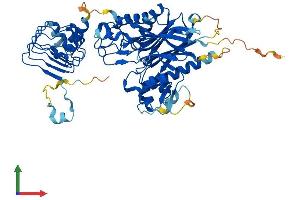 AlphaFold protein structure predicition of Mouse Recombinant Cnot6 Protein, UniprotID Q8K3P5