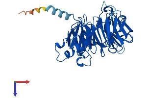AlphaFold protein structure predicition of Human Recombinant THOC6 Protein, UniprotID Q86W42
