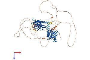 AlphaFold protein structure predicition of Mouse Recombinant Apbb1 Protein, UniprotID Q9QXJ1