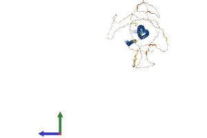 AlphaFold protein structure predicition of Mouse Recombinant Lzts2 Protein, UniprotID Q91YU6