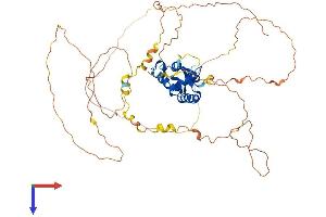 AlphaFold protein structure predicition of Human Recombinant FOXN4 Protein, UniprotID Q96NZ1
