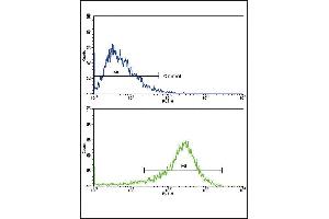 Flow cytometric analysis of HepG2 cells using PIGR Antibody (C-term)(bottom histogram) compared to a negative control (top histogram).