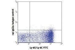 Flow Cytometry (FACS) image for anti-Lymphotoxin beta Receptor (TNFR Superfamily, Member 3) (LTBR) antibody (PE) (ABIN2663836) (LTBR anticorps  (PE))