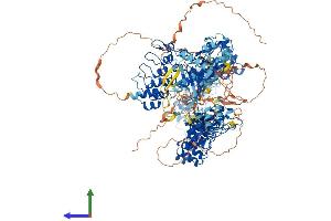 AlphaFold protein structure predicition of Human Recombinant TNKS Protein, UniprotID O95271