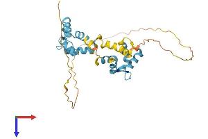 AlphaFold protein structure predicition of Human Recombinant CABP4 Protein, UniprotID P57796