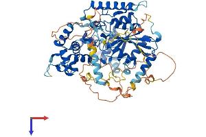 AlphaFold protein structure predicition of Human Recombinant GNL1 Protein, UniprotID P36915