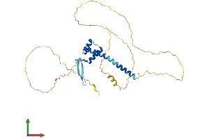 AlphaFold protein structure predicition of Human Recombinant VAX1 Protein, UniprotID Q5SQQ9