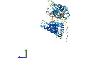 AlphaFold protein structure predicition of Human Recombinant RBM43 Protein, UniprotID Q6ZSC3