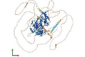 AlphaFold protein structure predicition of Human Recombinant PHF8 Protein, UniprotID Q9UPP1