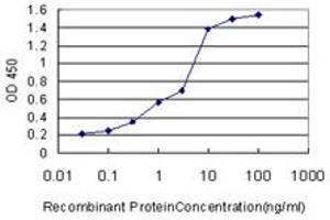 Detection limit for recombinant GST tagged HADHSC is approximately 0.