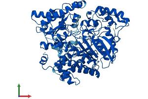 AlphaFold protein structure predicition of Mouse Recombinant Uroc1 Protein, UniprotID Q8VC12