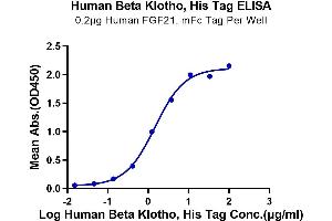 Immobilized Human FGF21, mFc Tag at 2 μg/mL (100 μL/Well) on the plate. (Klotho beta Protein (KLB) (His tag))