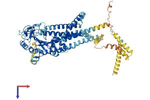 AlphaFold protein structure predicition of Mouse Recombinant Pkd2l2 Protein, UniprotID Q9JLG4