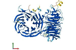 AlphaFold protein structure predicition of Human Recombinant UTP4 Protein, UniprotID Q969X6