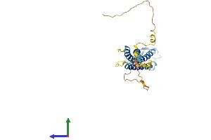 AlphaFold protein structure predicition of Mouse Recombinant Cldn23 Protein, UniprotID Q9D7D7
