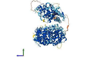 AlphaFold protein structure predicition of Human Recombinant OAS3 Protein, UniprotID Q9Y6K5