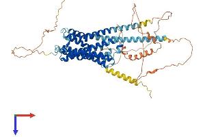 AlphaFold protein structure predicition of Mouse Recombinant Chrm3 Protein, UniprotID Q9ERZ3