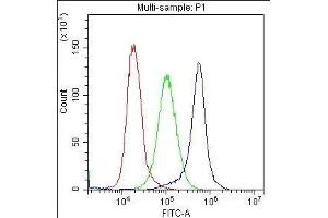 Flow Cytometry analysis of K562 cells using anti-CD59 antibody .
