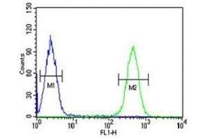 HDAC2 antibody flow cytometric analysis of K562 cells (right histogram) compared to a negative control (left histogram). (HDAC2 anticorps  (AA 410-439))