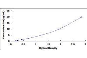ELISA image for Thymine-DNA Glycosylase (TDG) ELISA Kit (ABIN422664)