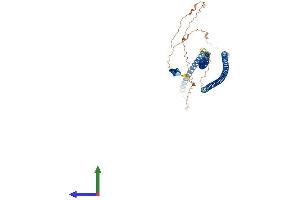 AlphaFold protein structure predicition of Human Recombinant KRT39 Protein, UniprotID Q6A163