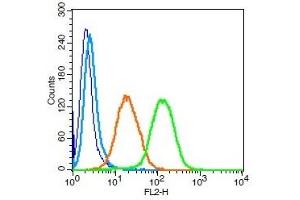 Human U937 cells probed with CD112 Polyclonal Antibody, Unconjugated  (green) at 1:100 for 30 minutes followed by a PE conjugated secondary antibody compared to unstained cells (blue), secondary only (light blue), and isotype control (orange).