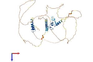 AlphaFold protein structure predicition of Human Recombinant INTS12 Protein, UniprotID Q96CB8