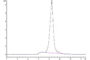 The purity of Human ICOS is greater than 95 % as determined by SEC-HPLC.