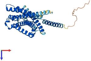 AlphaFold protein structure predicition of Human Recombinant GPR119 Protein, UniprotID Q8TDV5