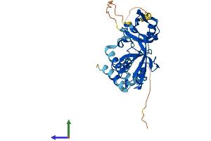 AlphaFold protein structure predicition of Mouse Recombinant Gipc2 Protein, UniprotID Q9Z2H7