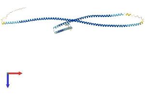 AlphaFold protein structure predicition of Human Recombinant GAS8 Protein, UniprotID O95995