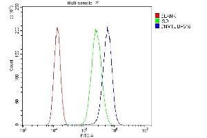 Flow Cytometry analysis of A549 cells using anti-DRP1/DNM1L antibody (ABIN7602180). (Dynamin 1-Like anticorps  (AA 618-736))