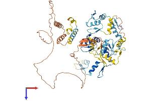 AlphaFold protein structure predicition of Human Recombinant ZNF214 Protein, UniprotID Q9UL59