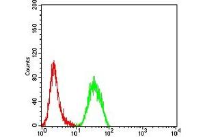 Flow cytometric analysis of Hela cells using ULBP1 mouse mAb (green) and negative control (red).