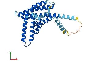 AlphaFold protein structure predicition of Human Recombinant PEX11A Protein, UniprotID O75192