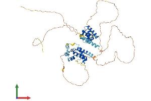 AlphaFold protein structure predicition of Mouse Recombinant Nab2 Protein, UniprotID Q61127