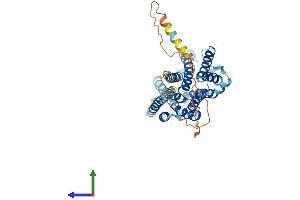 AlphaFold protein structure predicition of Mouse Recombinant Slc35d3 Protein, UniprotID Q8BGF8
