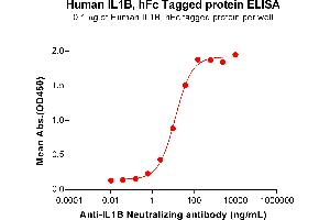 ELISA plate pre-coated by 1 μg/mL (100 μL/well) Human IL1B Protein, hFc Tag (ABIN6964158, ABIN7042509 and ABIN7042510) can bind Anti-IL1B Neutralizing antibody ABIN7478012 and ABIN7490963 in a linear range of 0.