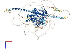 AlphaFold protein structure predicition of Mouse Recombinant Dab2ip Protein, UniprotID Q3UHC7
