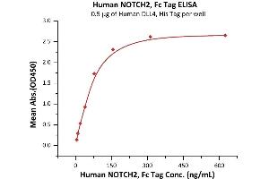 Immobilized Human DLL4, His Tag (ABIN2180972,ABIN2180971) at 5 μg/mL (100 μL/well) can bind Human NOTCH2, Fc Tag (ABIN6973184) with a linear range of 5-78 ng/mL (QC tested). (NOTCH2 Protein (AA 26-530) (Fc Tag))