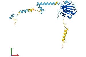 AlphaFold protein structure predicition of Human Recombinant PDCL3 Protein, UniprotID Q9H2J4